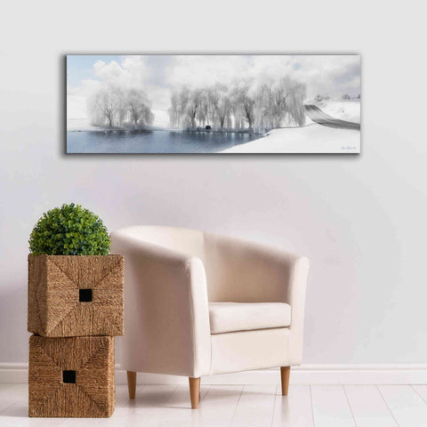 Image of 'Winter Willow' by Lori Deiter, Canvas Wall Art,60 x 20