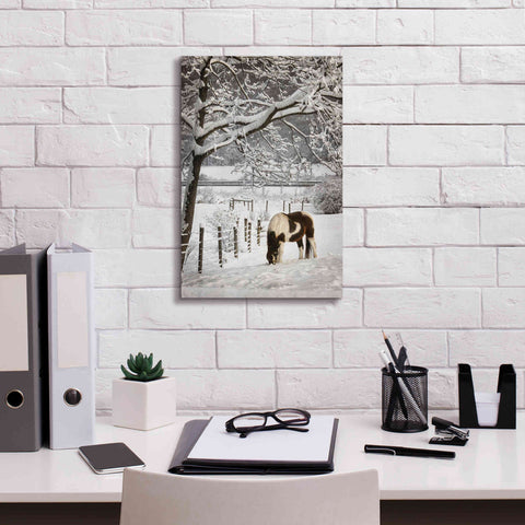 Image of 'Paint in the Snow' by Lori Deiter, Canvas Wall Art,12 x 18