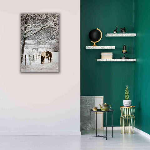 Image of 'Paint in the Snow' by Lori Deiter, Canvas Wall Art,26 x 40