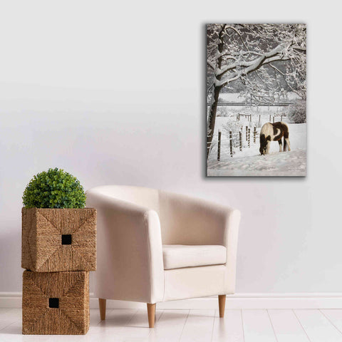 Image of 'Paint in the Snow' by Lori Deiter, Canvas Wall Art,26 x 40