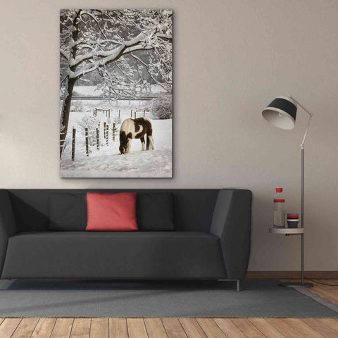 Image of 'Paint in the Snow' by Lori Deiter, Canvas Wall Art,40 x 60