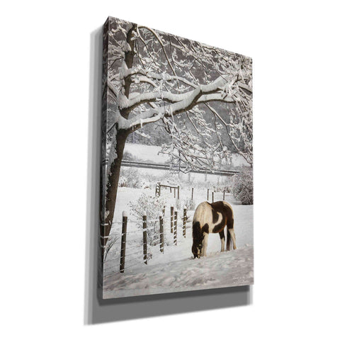 Image of 'Paint in the Snow' by Lori Deiter, Canvas Wall Art