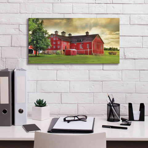 Image of 'Aging Gracefully' by Lori Deiter, Canvas Wall Art,24 x 12