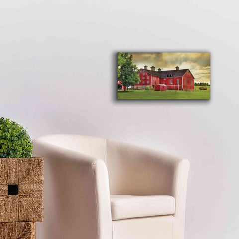 Image of 'Aging Gracefully' by Lori Deiter, Canvas Wall Art,24 x 12