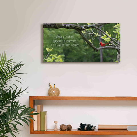 Image of 'Visitor from Heaven' by Lori Deiter, Canvas Wall Art,24 x 12