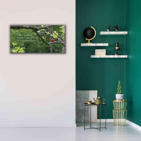 Image of 'Visitor from Heaven' by Lori Deiter, Canvas Wall Art,40 x 20