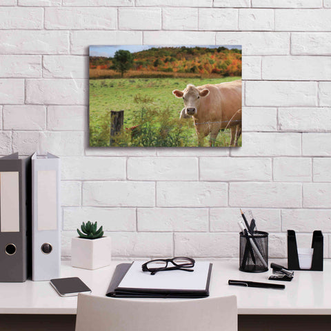 Image of 'Fall Cow' by Lori Deiter Canvas Wall Art,18 x 12