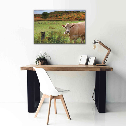 Image of 'Fall Cow' by Lori Deiter Canvas Wall Art,40 x 26