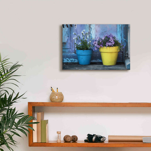 Image of 'She Shed Flowers' by Lori Deiter Canvas Wall Art,18 x 12