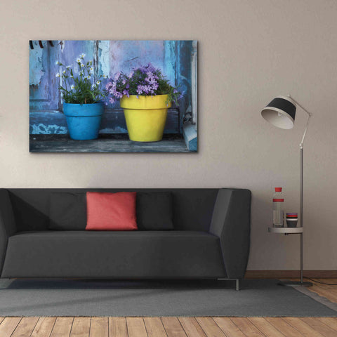 Image of 'She Shed Flowers' by Lori Deiter Canvas Wall Art,60 x 40