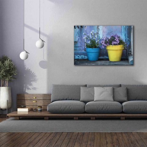 Image of 'She Shed Flowers' by Lori Deiter Canvas Wall Art,60 x 40
