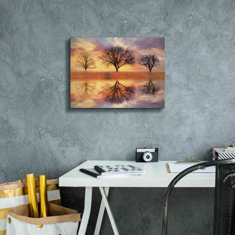 Image of 'Trio of Trees' by Lori Deiter Canvas Wall Art,16 x 12