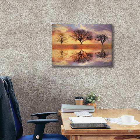 Image of 'Trio of Trees' by Lori Deiter Canvas Wall Art,24 x 20