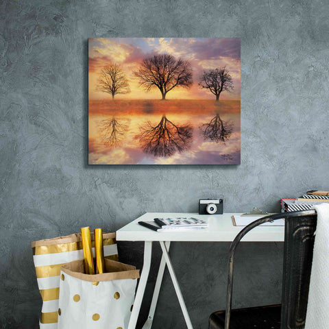 Image of 'Trio of Trees' by Lori Deiter Canvas Wall Art,24 x 20