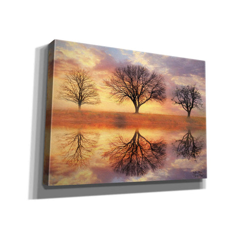 Image of 'Trio of Trees' by Lori Deiter Canvas Wall Art