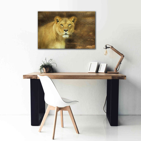 Image of 'Tribal Lioness' by Lori Deiter Canvas Wall Art,40 x 26