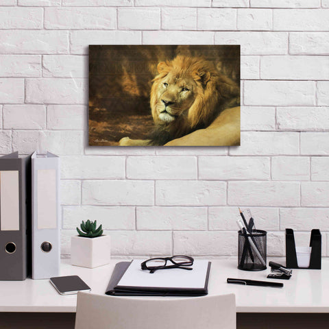 Image of 'Tribal Lion' by Lori Deiter Canvas Wall Art,18 x 12