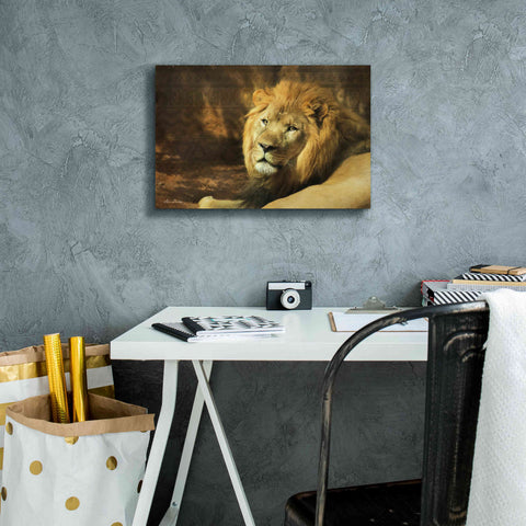Image of 'Tribal Lion' by Lori Deiter Canvas Wall Art,18 x 12