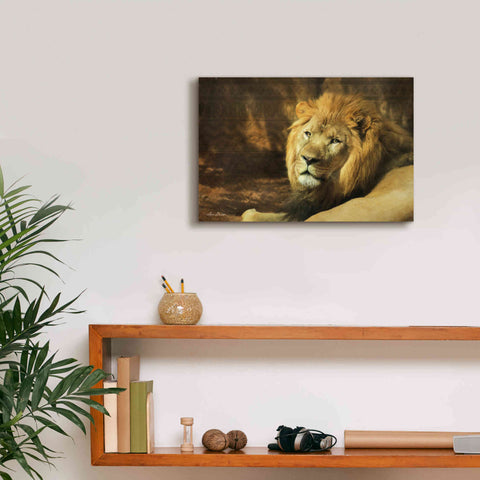 Image of 'Tribal Lion' by Lori Deiter Canvas Wall Art,18 x 12