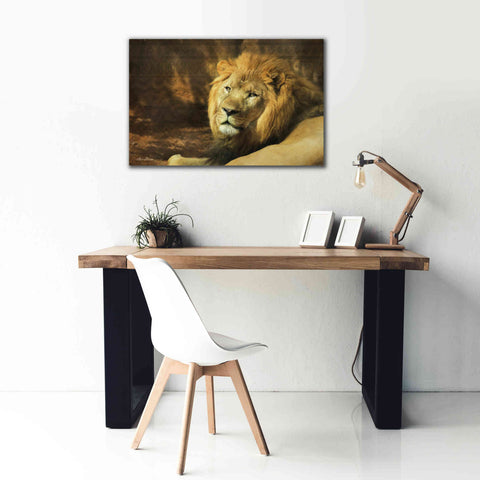 Image of 'Tribal Lion' by Lori Deiter Canvas Wall Art,40 x 26