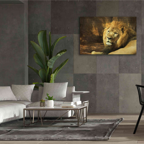 Image of 'Tribal Lion' by Lori Deiter Canvas Wall Art,60 x 40
