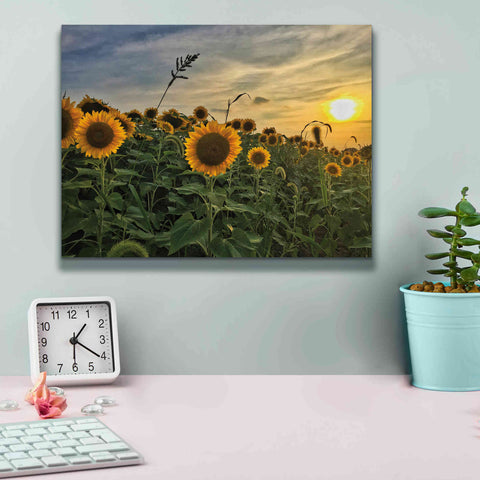 Image of 'Midwest Livin' I' by Donnie Quillen Canvas Wall Art,16 x 12