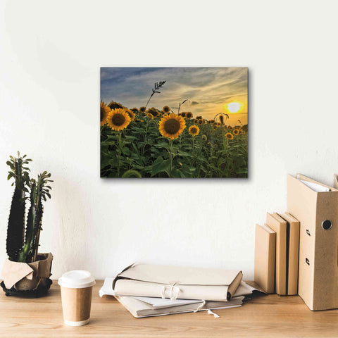 Image of 'Midwest Livin' I' by Donnie Quillen Canvas Wall Art,16 x 12