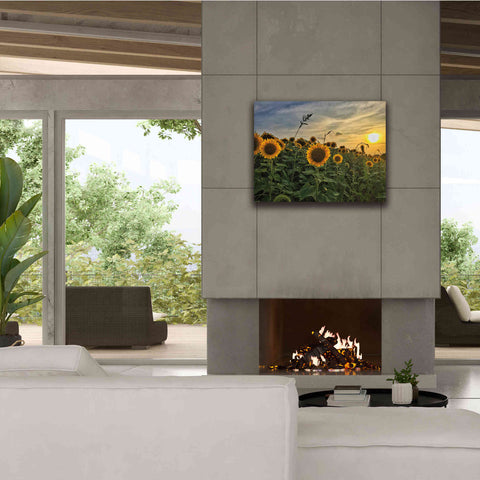 Image of 'Midwest Livin' I' by Donnie Quillen Canvas Wall Art,34 x 26