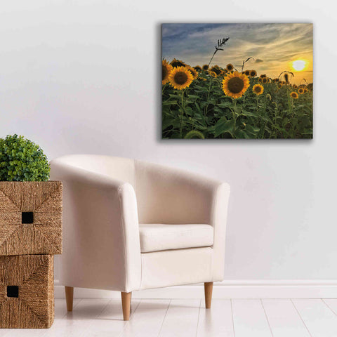 Image of 'Midwest Livin' I' by Donnie Quillen Canvas Wall Art,34 x 26