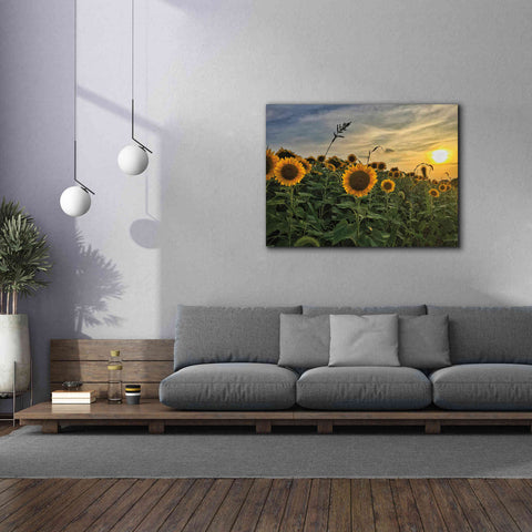 Image of 'Midwest Livin' I' by Donnie Quillen Canvas Wall Art,54 x 40