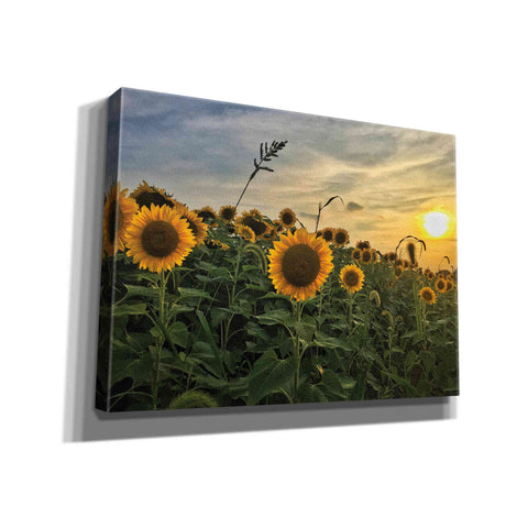 Image of 'Midwest Livin' I' by Donnie Quillen Canvas Wall Art