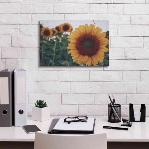 Image of 'Midwest Livin' II' by Donnie Quillen Canvas Wall Art,18 x 12