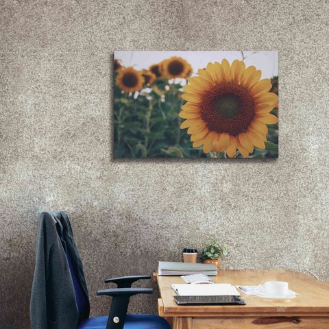 Image of 'Midwest Livin' II' by Donnie Quillen Canvas Wall Art,40 x 26