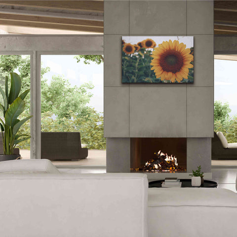 Image of 'Midwest Livin' II' by Donnie Quillen Canvas Wall Art,40 x 26