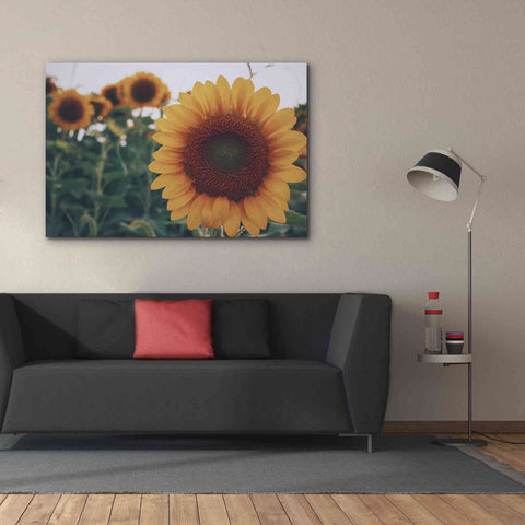 Image of 'Midwest Livin' II' by Donnie Quillen Canvas Wall Art,60 x 40