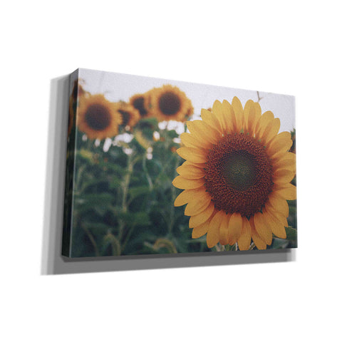 Image of 'Midwest Livin' II' by Donnie Quillen Canvas Wall Art