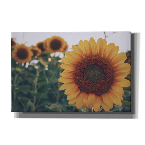 Image of 'Midwest Livin' II' by Donnie Quillen Canvas Wall Art