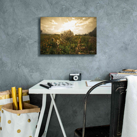 Image of 'Face the Sun II' by Donnie Quillen Canvas Wall Art,18 x 12