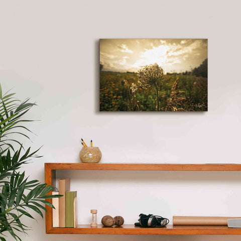 Image of 'Face the Sun II' by Donnie Quillen Canvas Wall Art,18 x 12