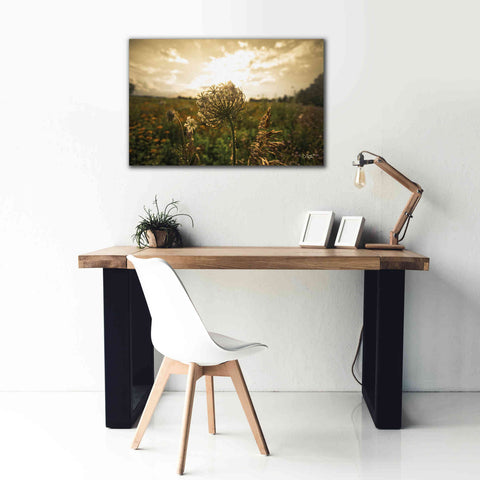 Image of 'Face the Sun II' by Donnie Quillen Canvas Wall Art,40 x 26