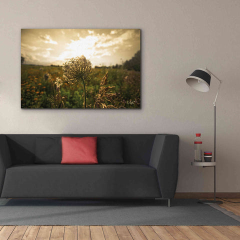 Image of 'Face the Sun II' by Donnie Quillen Canvas Wall Art,60 x 40