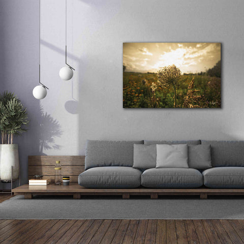 Image of 'Face the Sun II' by Donnie Quillen Canvas Wall Art,60 x 40