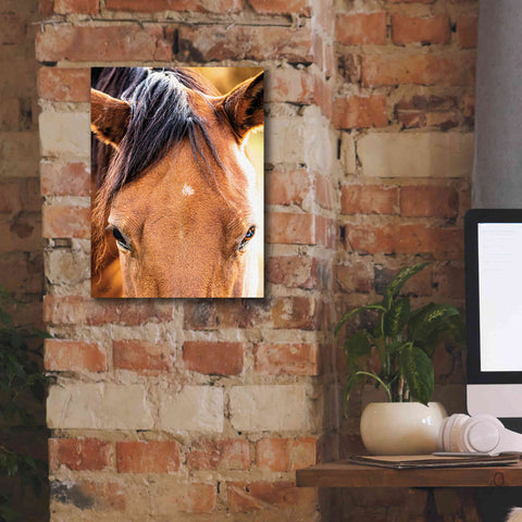 Image of 'Soft Brown' by Donnie Quillen Canvas Wall Art,12 x 16