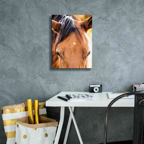 Image of 'Soft Brown' by Donnie Quillen Canvas Wall Art,12 x 16