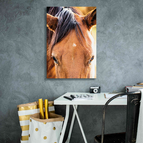 Image of 'Soft Brown' by Donnie Quillen Canvas Wall Art,18 x 26