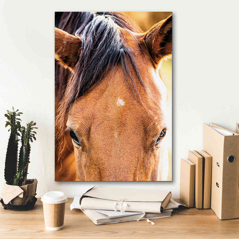 Image of 'Soft Brown' by Donnie Quillen Canvas Wall Art,18 x 26