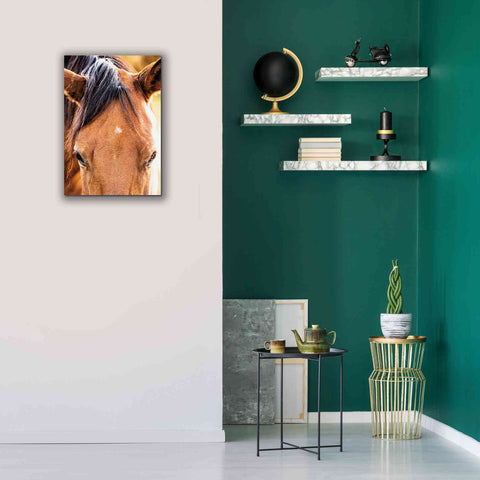 Image of 'Soft Brown' by Donnie Quillen Canvas Wall Art,18 x 26