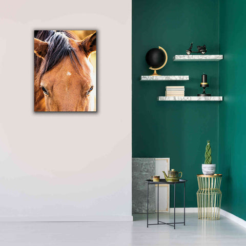 Image of 'Soft Brown' by Donnie Quillen Canvas Wall Art,26 x 34