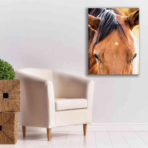 Image of 'Soft Brown' by Donnie Quillen Canvas Wall Art,26 x 34