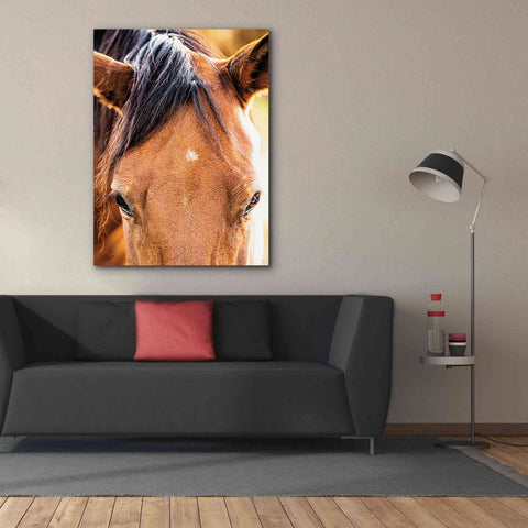 Image of 'Soft Brown' by Donnie Quillen Canvas Wall Art,40 x 54